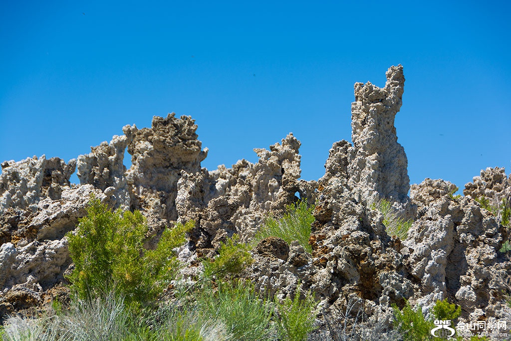 DSC_3482.jpg