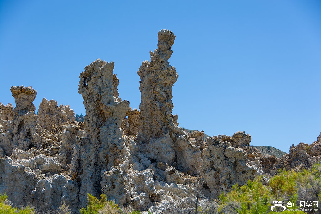 DSC_3498.jpg
