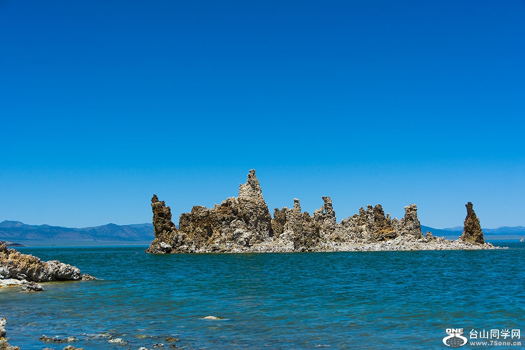 DSC_3517.jpg