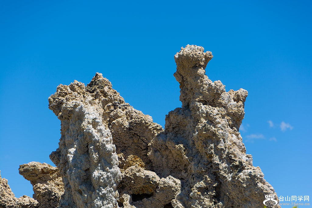 DSC_3500.jpg