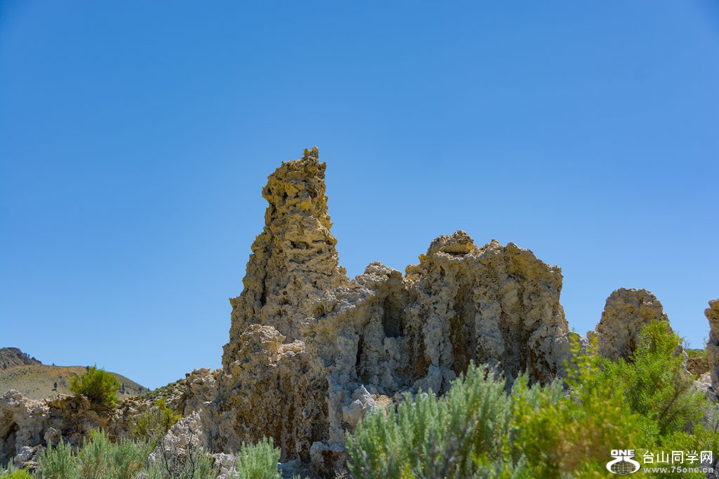 DSC_3583.jpg