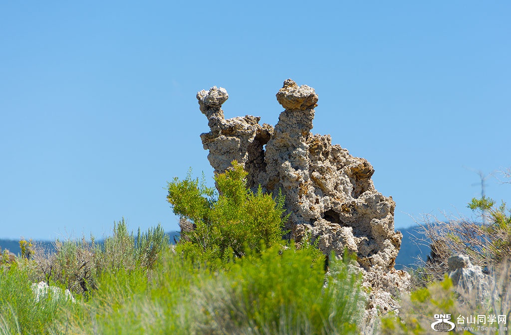 DSC_3577.jpg