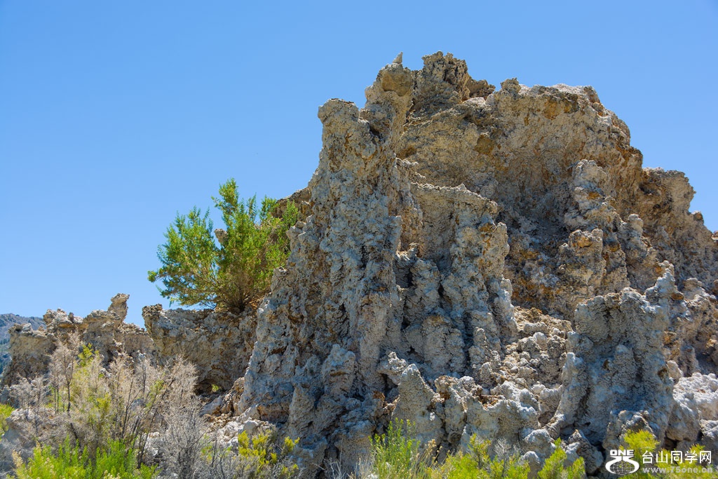 DSC_3497.jpg