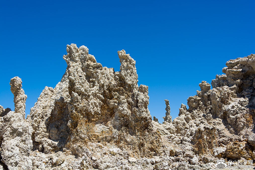 DSC_3541.jpg