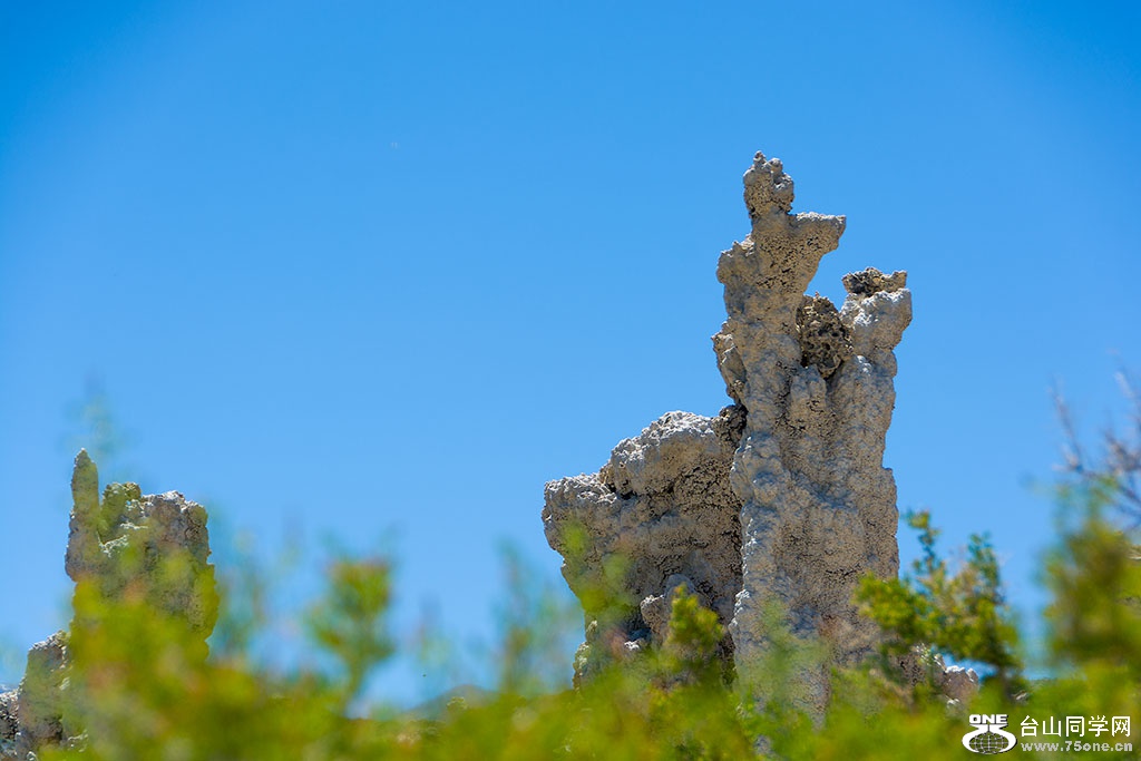 DSC_3487.jpg