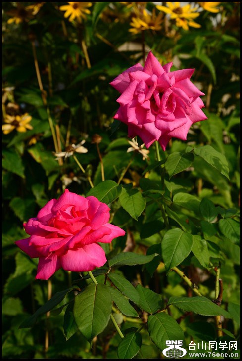 DSC_5055.jpg