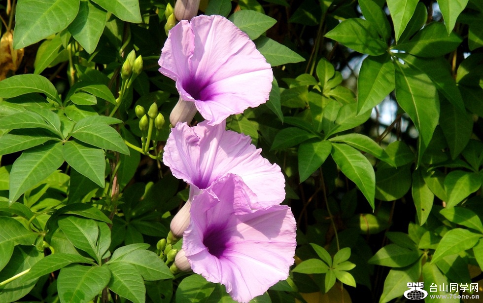 DSC02574_conew1_.jpg