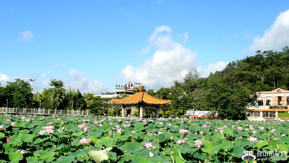 DSC02456___.jpg