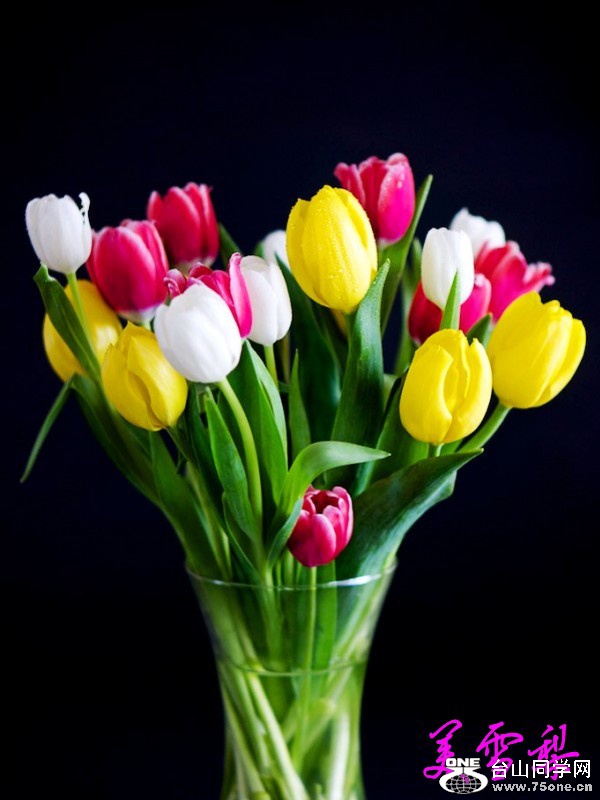 IMG_5745_conew2.jpg