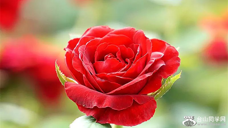 psb (9).jpg
