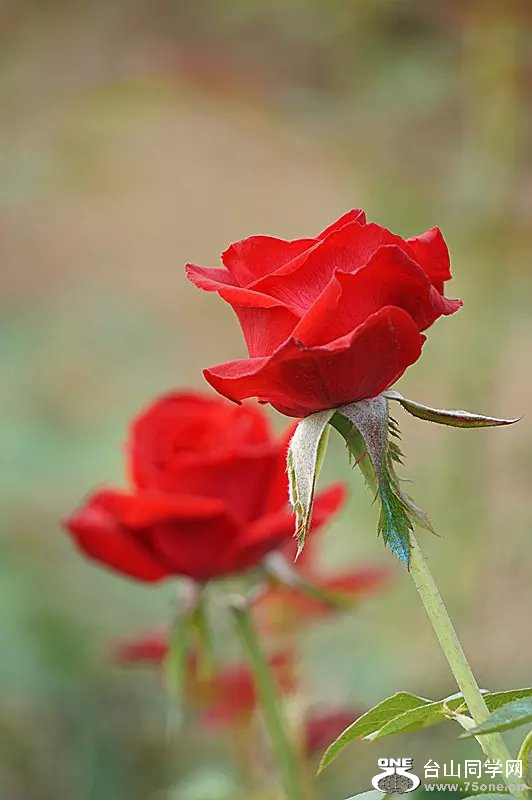 psb (11).jpg