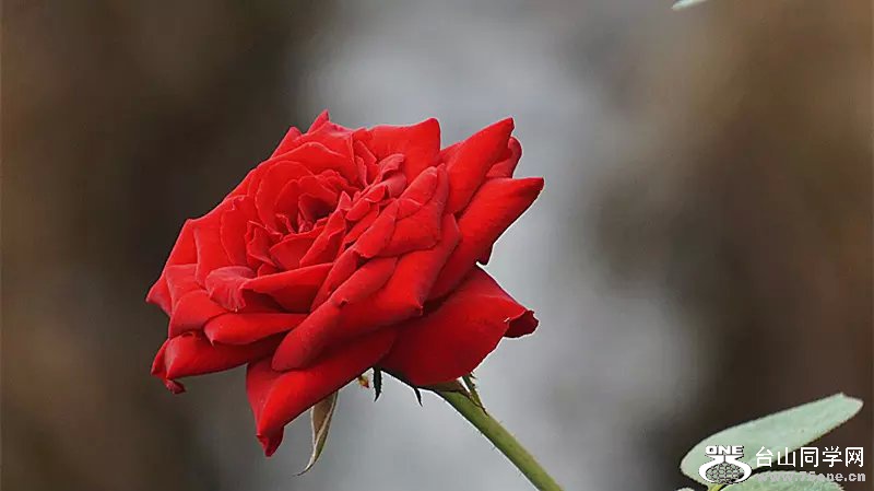 psb (8).jpg