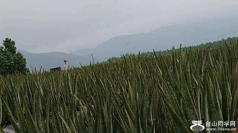 psb (16).jpg
