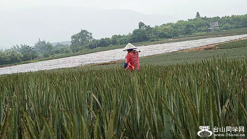 psb (17).jpg