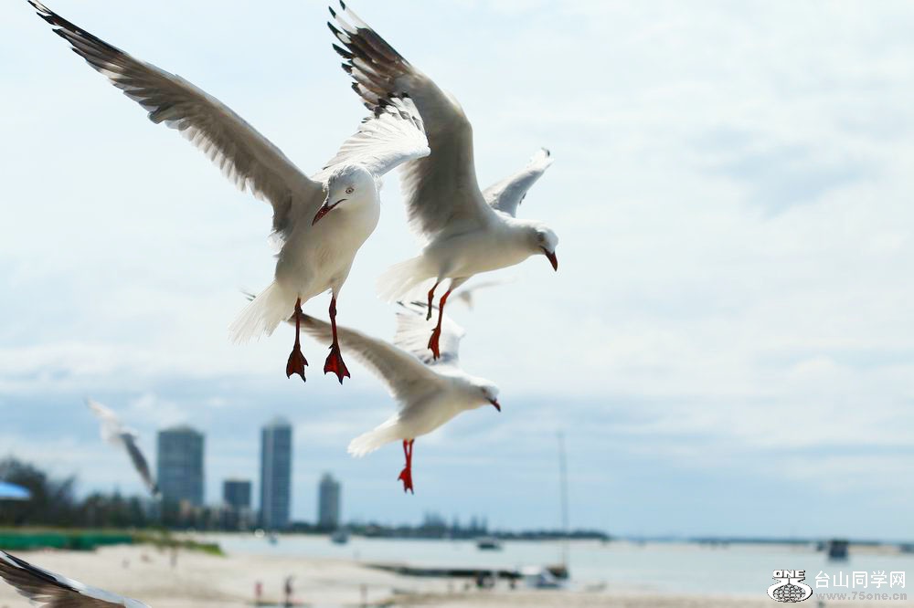 IMG_75244440000.jpg