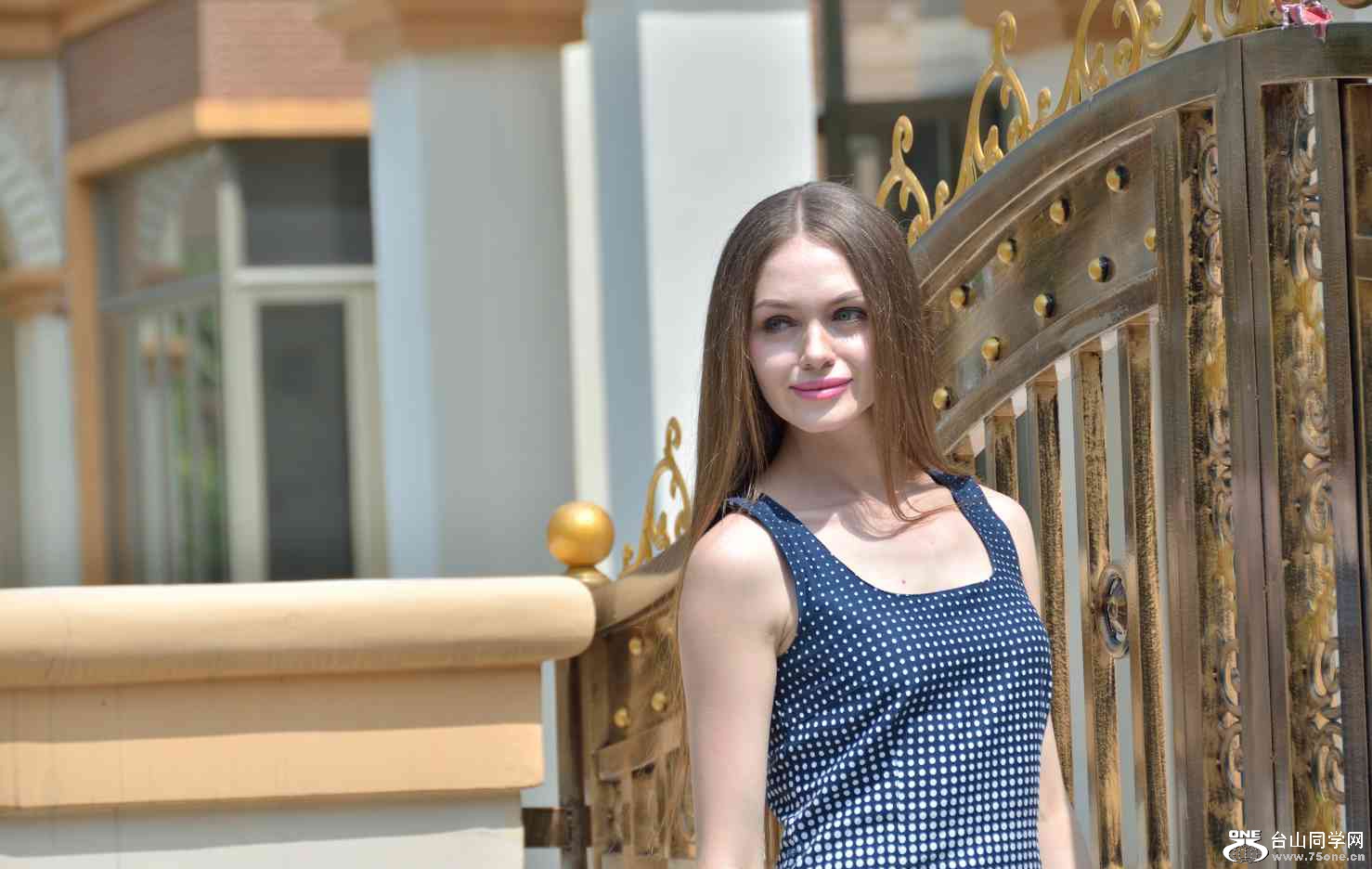 DSC_3371.jpg