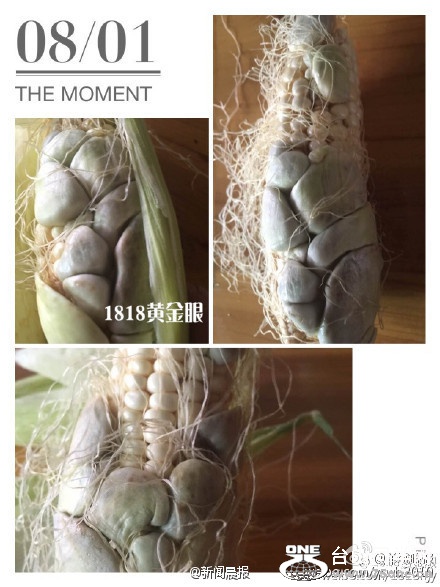 c1b6d88f146590a29cc8e5b5dc27a3ff (1).jpg