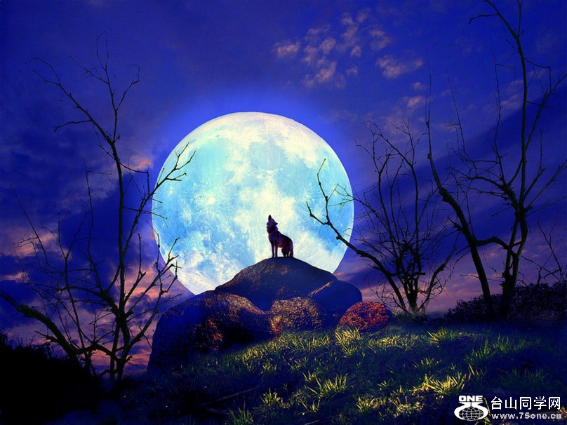 675219__super-moon_p.jpg