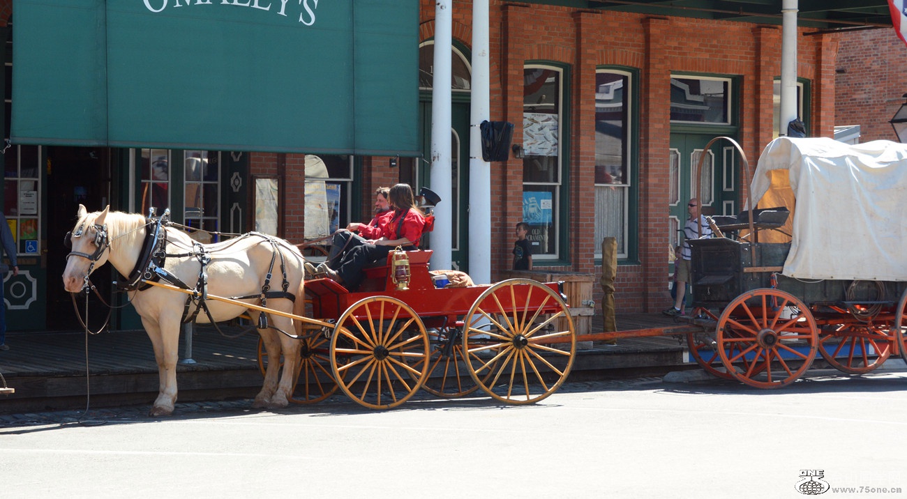 DSC_8287_18.jpg