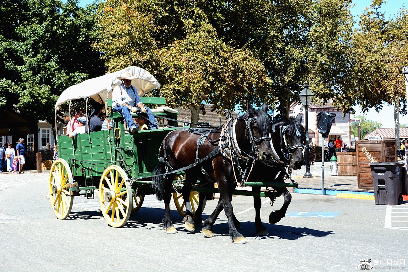DSC_8376_1.jpg