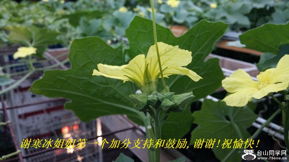 谢寒冰姐姐第一个加分支持和鼓励,谢谢!祝愉快!.jpg