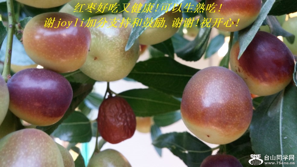 红枣好吃又健康!可以生熟吃!谢joyli加分支持和鼓励,谢谢!祝开心!.jpg