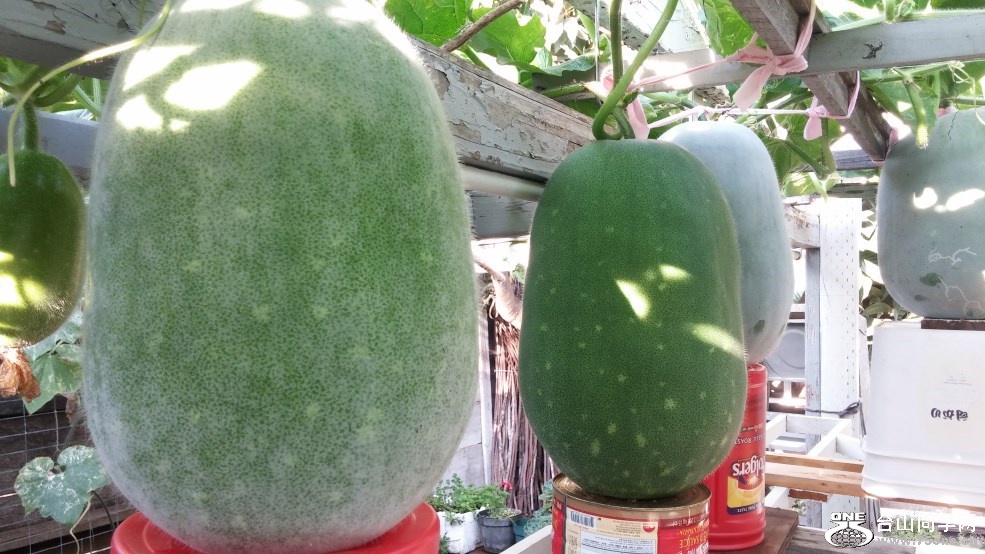 20150816_080242.jpg