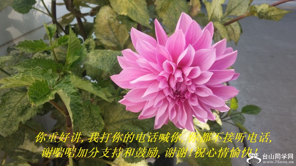 غý,Ҵĵ绰,㶼绰,лӷֺ֧͹,лл!ף!.jpg