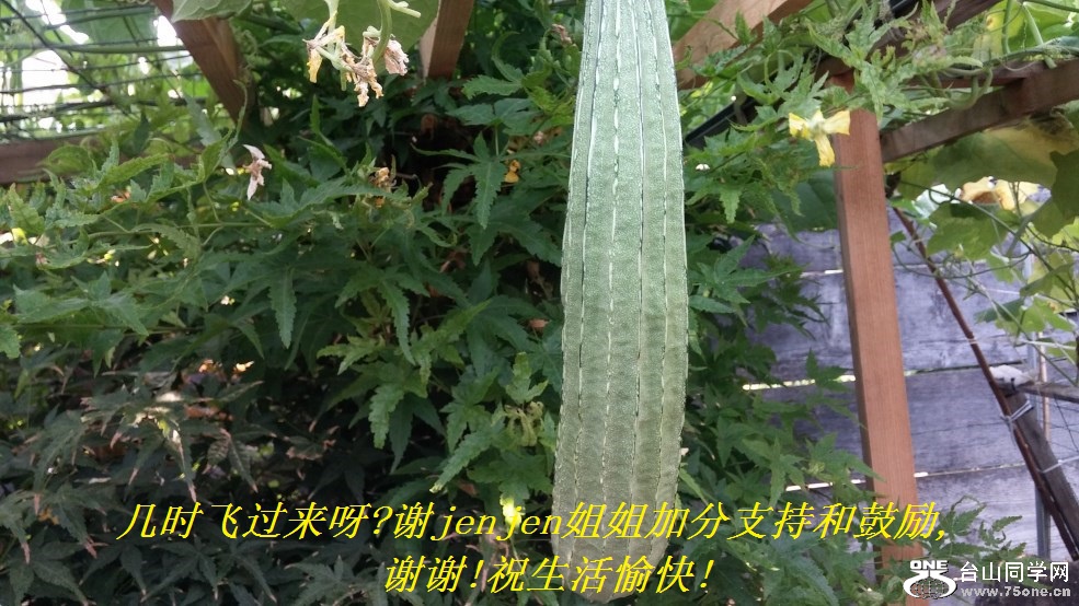 ʱɹѽ,лjenjenӷֺ֧͹,лл!ף!.jpg