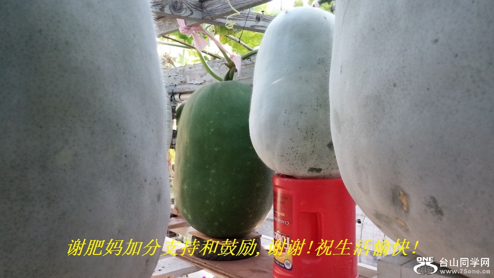 谢肥妈加分支持和鼓励,谢谢!祝生活愉快!.jpg