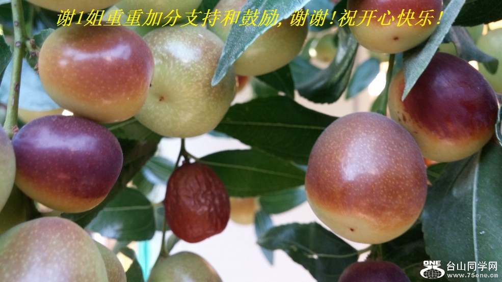 谢1姐重重加分支持和鼓励,谢谢!祝开心快乐!.jpg