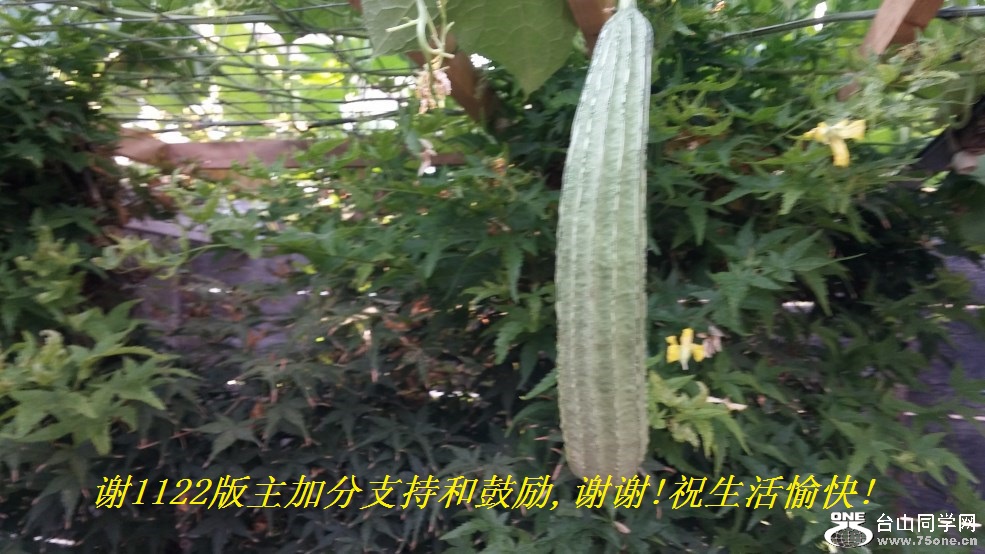 л1122ӷֺ֧͹,лл!ף!.jpg