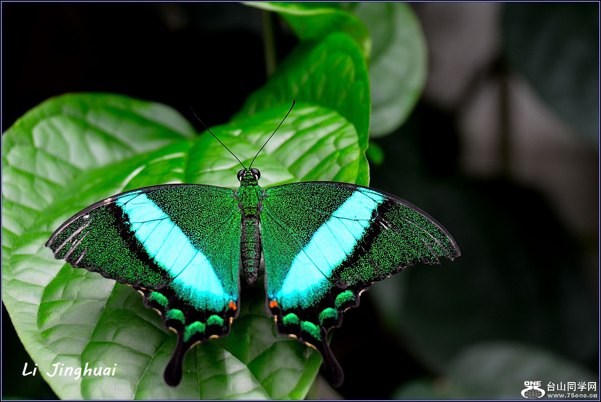 DSC_4720.jpg