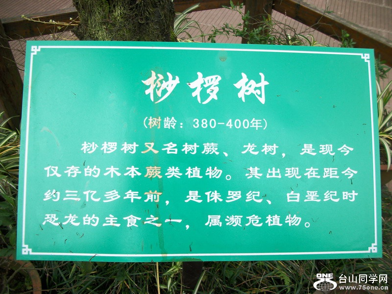 380400ڹ.jpg
