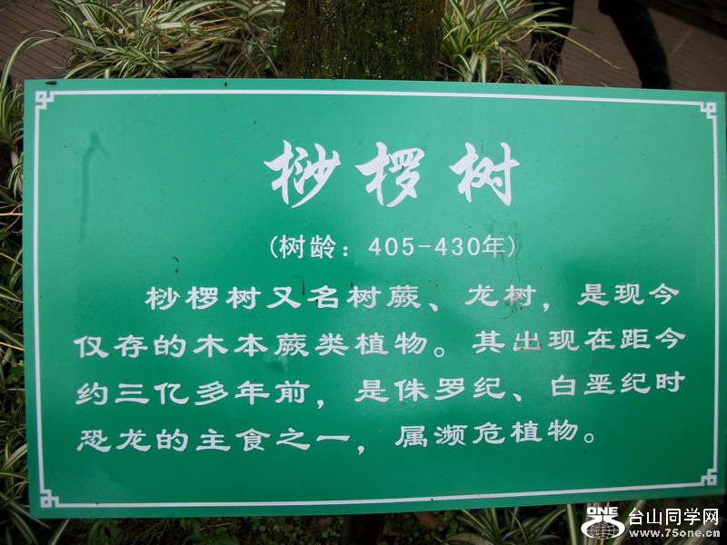 405430ڹ.jpg