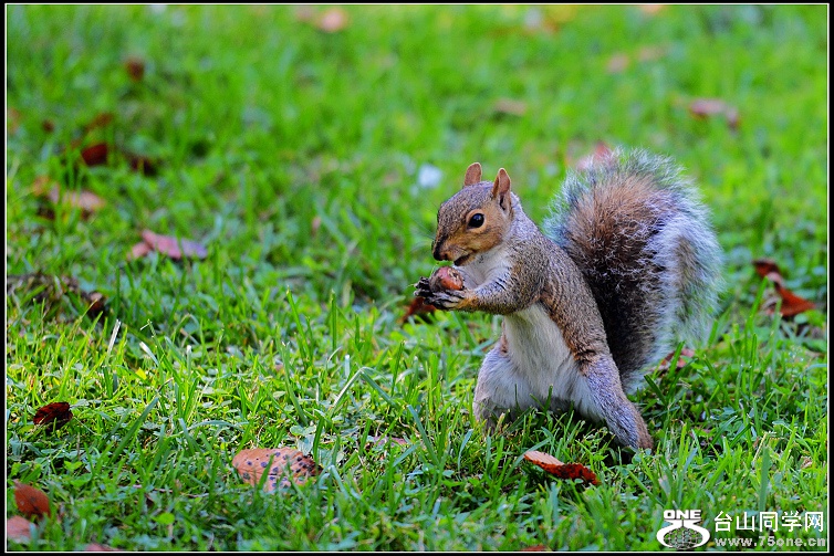 DSC_5398.JPG