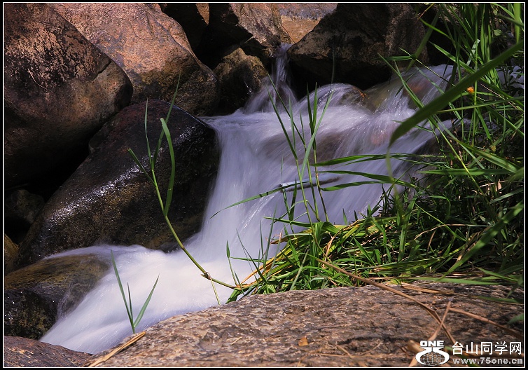IMG_8499.JPG