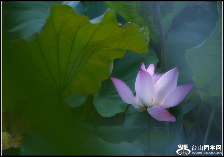 DSC_4090.JPG