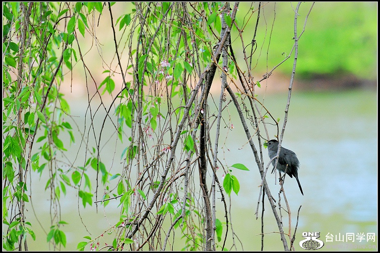 DSC_7610.JPG