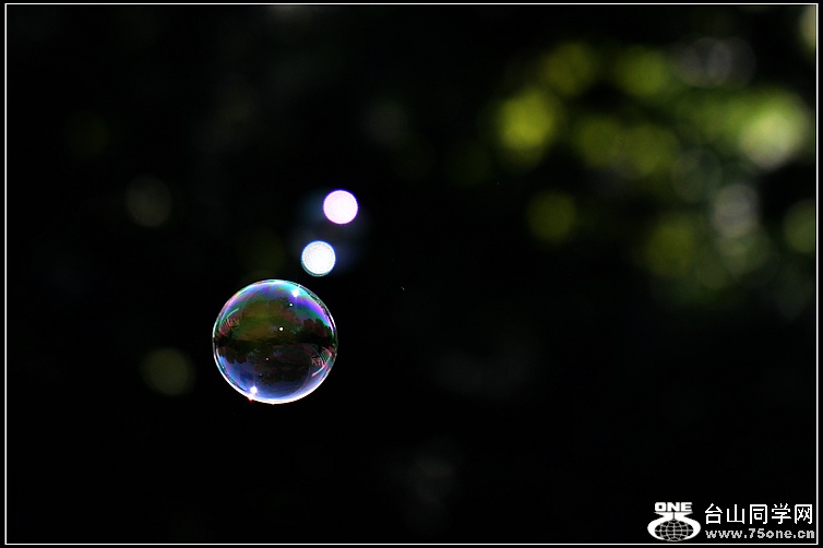 DSC_2900.JPG