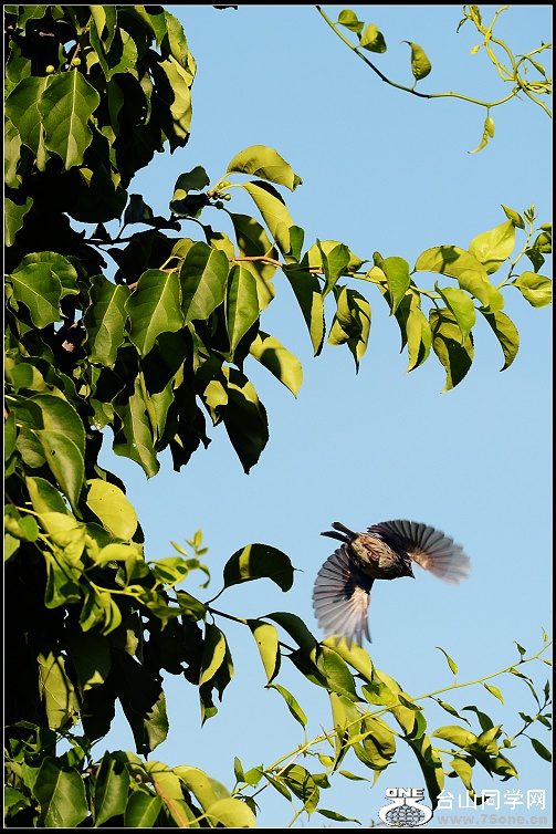 DSC_4077.JPG