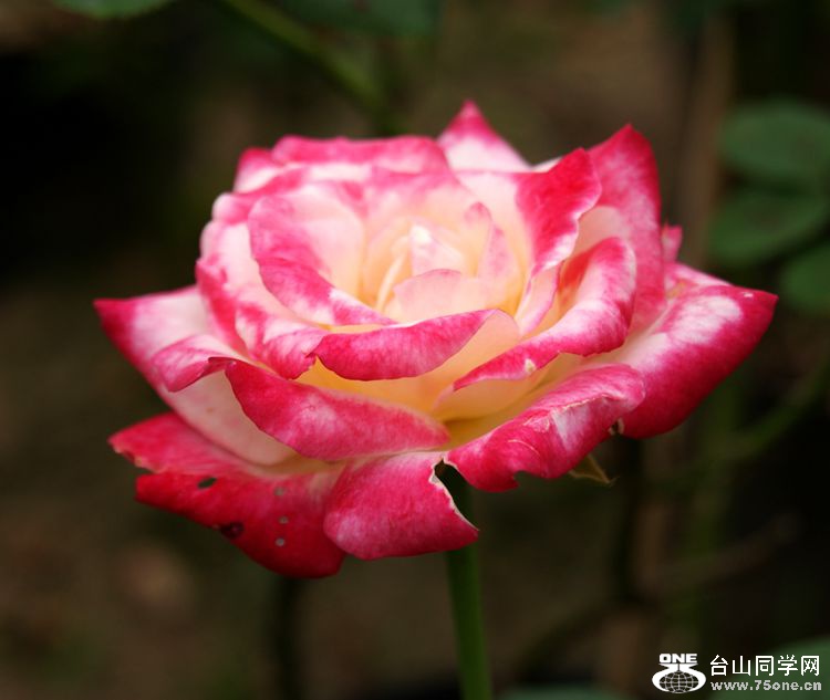 DSC03141_.jpg
