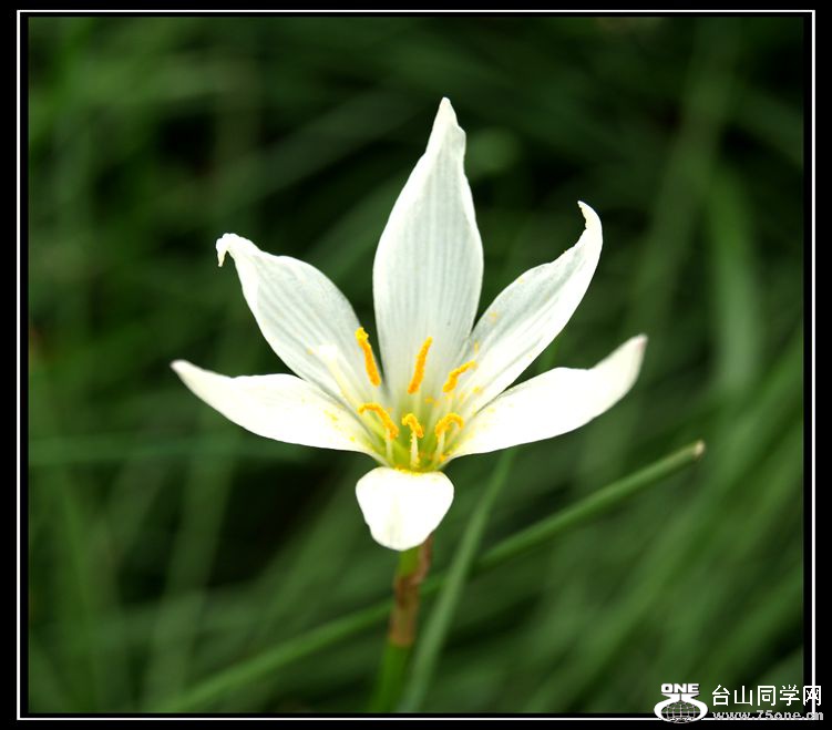 DSC03116_.jpg