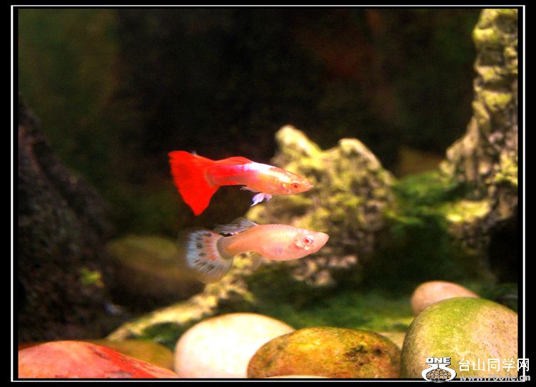 DSC06426_.jpg