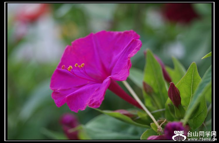 DSC08030_.jpg