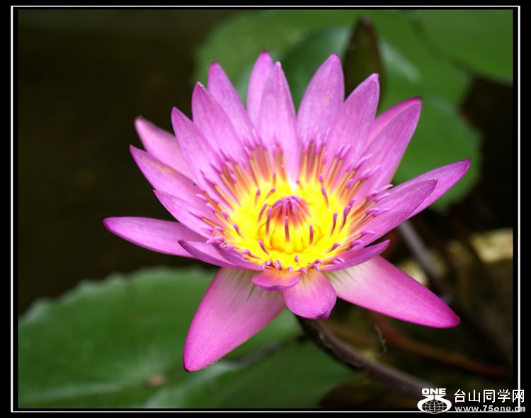DSC04763_.jpg
