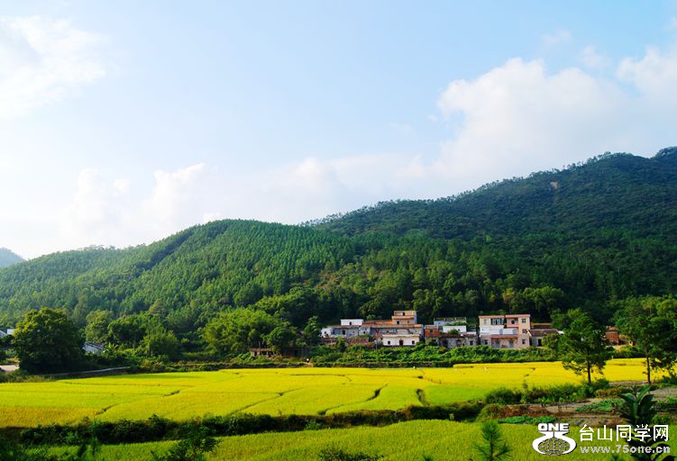 DSC08986_.jpg