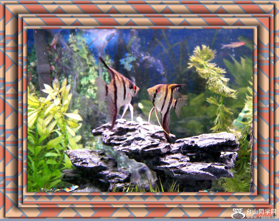 DSC05879_.jpg