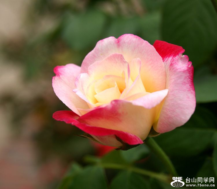 DSC03137_.jpg