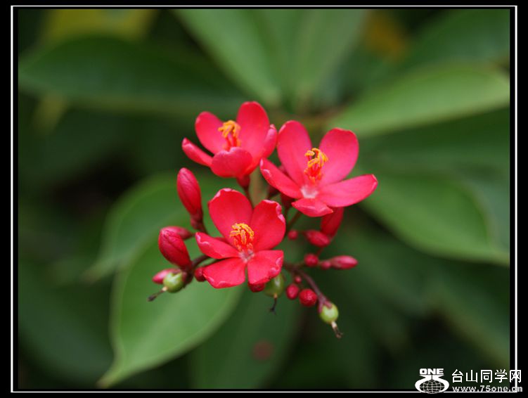 DSC03175_.jpg